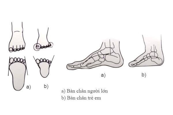 Giầy tập đi Attipas - Giầy chức năng tập đi cho bé: Giày Attipas giúp bé phát triển bàn chân và cải thiện khả năng đi trong quá trình tập đi. Những mẫu giày vô cùng dễ thương và thoải mái cho bé yêu của bạn.